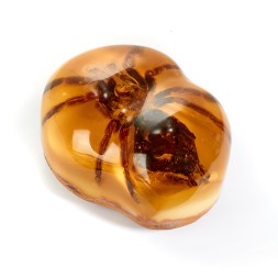 Сувенирный камень &quot;Тарантул&quot;, Янтарь полунатуральный с инклюзом