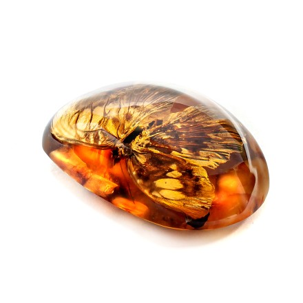 Сувенирный камень &quot;Бабочка&quot;, Янтарь полунатуральный с инклюзом купить