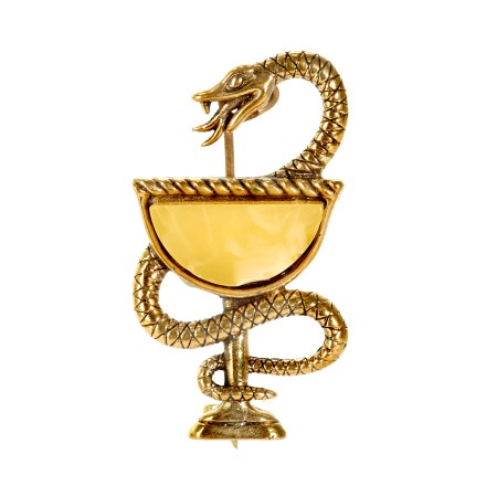 Брошь &quot;Змея&quot; из Янтаря и латуни купить