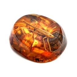 Камень сувенирный &quot;Кузнечик&quot;, Янтарь полунатуральный с инклюзом