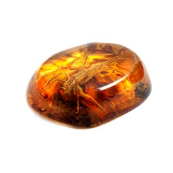 Камень сувенирный &quot;Кузнечик&quot;, Янтарь полунатуральный с инклюзом