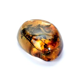 Сувенирный камень &quot;Жук&quot;, Янтарь полунатуральный с инклюзом