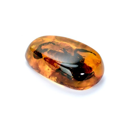 Сувенирный камень &quot;Скорпион&quot;, Янтарь полунатуральный с инклюзом купить